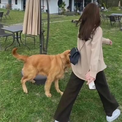 津门三少爷